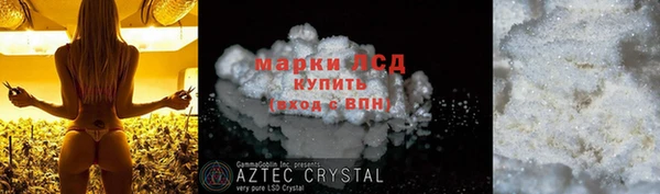 Альфа ПВП Гусев