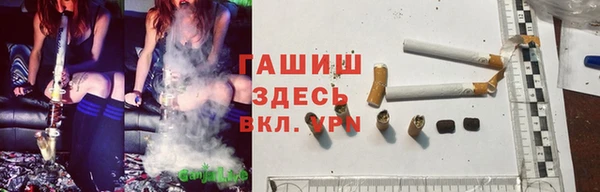 Альфа ПВП Гусев