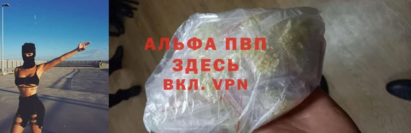Альфа ПВП Гусев