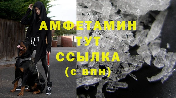 кристаллы Гусь-Хрустальный