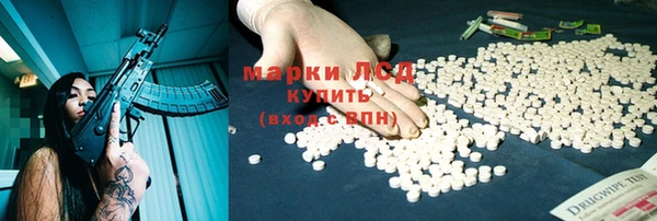 Альфа ПВП Гусев