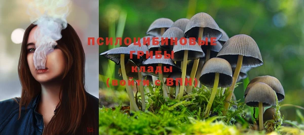 кокаин премиум Гусиноозёрск