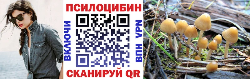Галлюциногенные грибы прущие грибы  магазин  наркотиков  ссылка на мегу вход  Ногинск 
