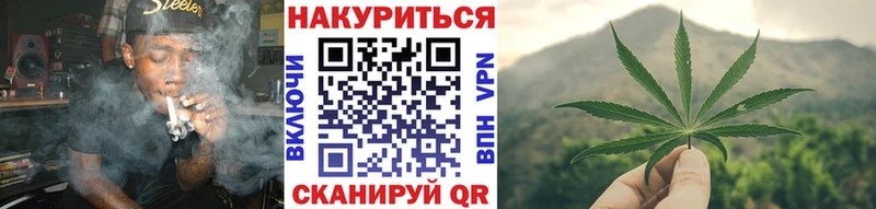 Конопля план Ногинск
